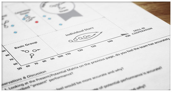 Our team diagnostic reports provide snapshots of your team's present and potential strengths and weaknesses